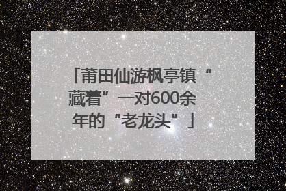 莆田仙游枫亭镇“藏着”一对600余年的“老龙头”
