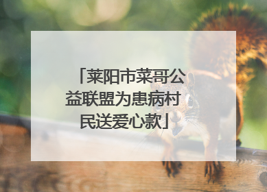莱阳市菜哥公益联盟为患病村民送爱心款