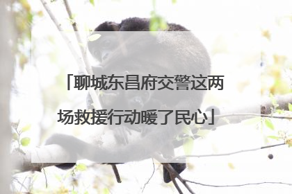 聊城东昌府交警这两场救援行动暖了民心