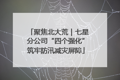 聚焦北大荒｜七星分公司“四个强化”筑牢防汛减灾屏障