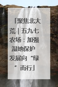 聚焦北大荒｜五九七农场：加强湿地保护 发展向“绿”而行