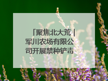 聚焦北大荒｜军川农场有限公司开展禁种铲毒排查宣传行动