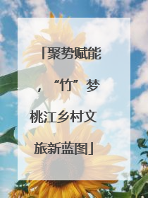 聚势赋能，“竹”梦桃江乡村文旅新蓝图