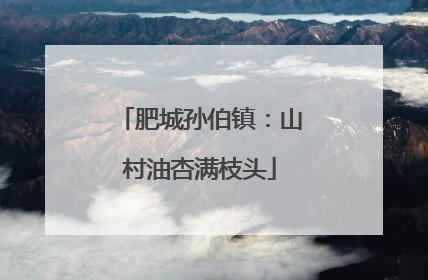 肥城孙伯镇：山村油杏满枝头