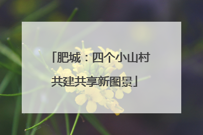 肥城：四个小山村共建共享新图景