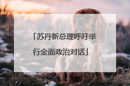 苏丹新总理呼吁举行全面政治对话