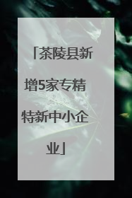 茶陵县新增5家专精特新中小企业