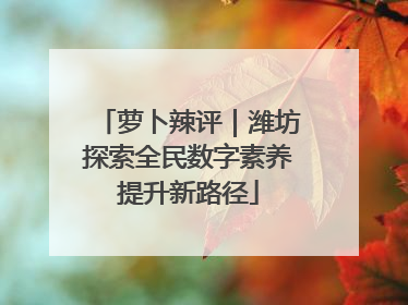 萝卜辣评｜潍坊探索全民数字素养提升新路径