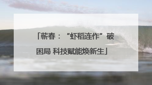 蕲春：“虾稻连作”破困局 科技赋能焕新生