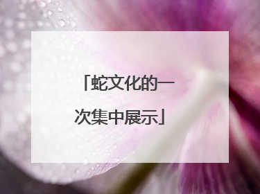 蛇文化的一次集中展示
