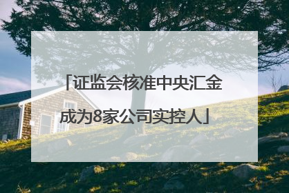 证监会核准中央汇金成为8家公司实控人
