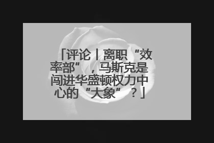 评论丨离职“效率部”，马斯克是闯进华盛顿权力中心的“大象”？