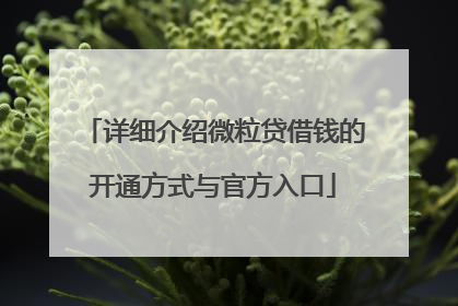 详细介绍微粒贷借钱的开通方式与官方入口