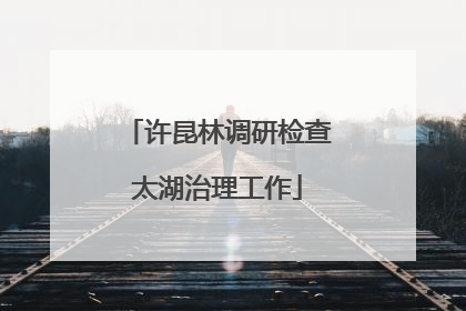 许昆林调研检查太湖治理工作