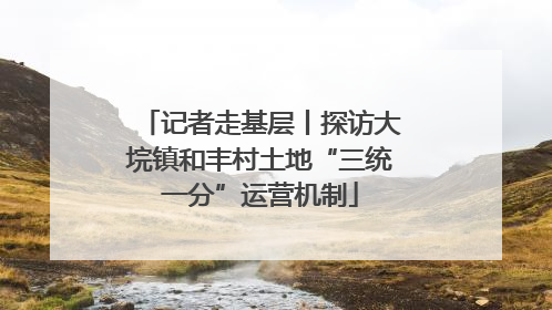 记者走基层丨探访大垸镇和丰村土地“三统一分”运营机制
