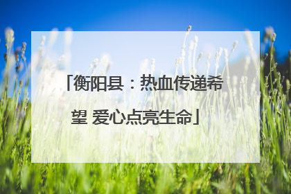 衡阳县：热血传递希望 爱心点亮生命