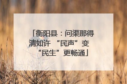 衡阳县：问渠那得清如许 “民声”变“民生”更畅通