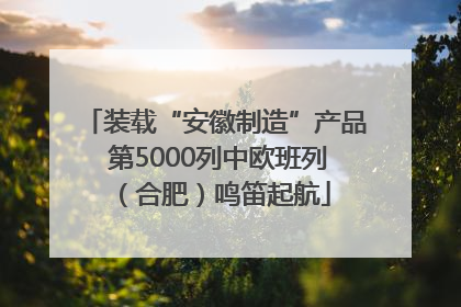 装载“安徽制造”产品 第5000列中欧班列（合肥）鸣笛起航