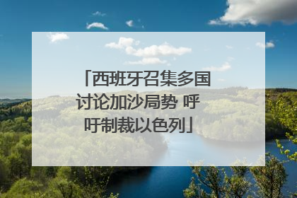 西班牙召集多国讨论加沙局势 呼吁制裁以色列