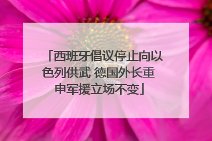 西班牙倡议停止向以色列供武 德国外长重申军援立场不变