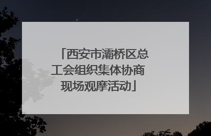 西安市灞桥区总工会组织集体协商现场观摩活动