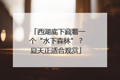 西湖底下藏着一个“水下森林”？夏天正适合观赏