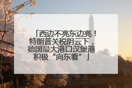 西边不亮东边亮！特朗普关税阴云下，德国最大港口汉堡港积极“向东看”