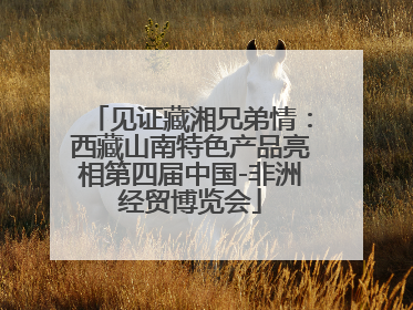 见证藏湘兄弟情：西藏山南特色产品亮相第四届中国-非洲经贸博览会
