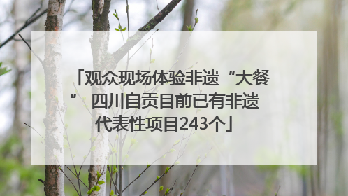 观众现场体验非遗“大餐” 四川自贡目前已有非遗代表性项目243个