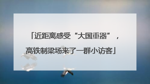 近距离感受“大国重器”，高铁制梁场来了一群小访客