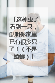 这种虫子看到一只，说明你家里已有很多只了！（不是蟑螂）