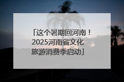 这个暑期回河南！2025河南省文化旅游消费季启动