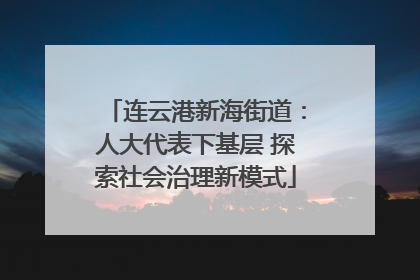 连云港新海街道：人大代表下基层 探索社会治理新模式