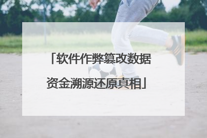 软件作弊篡改数据 资金溯源还原真相