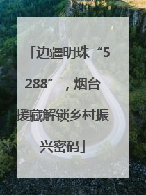 边疆明珠“5288”，烟台援藏解锁乡村振兴密码