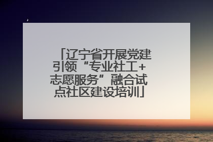 辽宁省开展党建引领“专业社工+志愿服务”融合试点社区建设培训