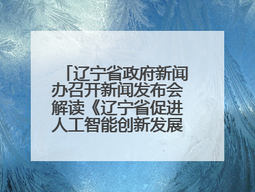 辽宁省政府新闻办召开新闻发布会解读《辽宁省促进人工智能创新发展实施方案》