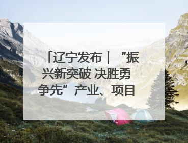 辽宁发布｜“振兴新突破 决胜勇争先”产业、项目、民生齐发力 葫芦岛按下决胜之年“加速键”