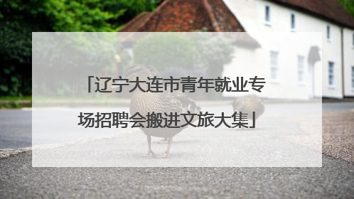 辽宁大连市青年就业专场招聘会搬进文旅大集