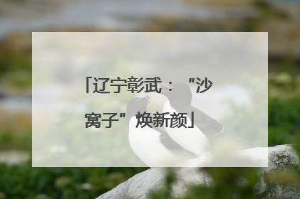辽宁彰武：“沙窝子”焕新颜