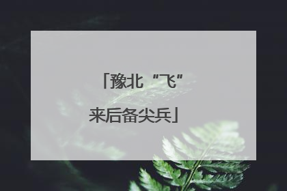 豫北“飞”来后备尖兵
