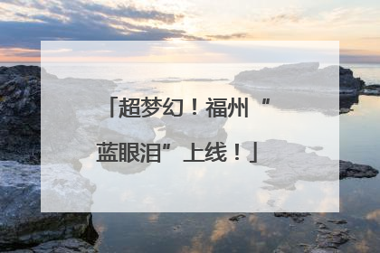 超梦幻！福州“蓝眼泪”上线！