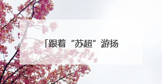 跟着“苏超”游扬州，多重福利迎客流，文旅名城接待游客量同比激增