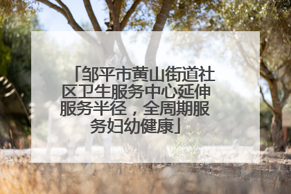 邹平市黄山街道社区卫生服务中心延伸服务半径，全周期服务妇幼健康
