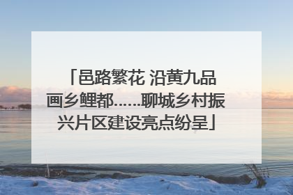 邑路繁花 沿黄九品 画乡鲤都……聊城乡村振兴片区建设亮点纷呈