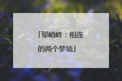 邬峭峰：相连的两个梦境