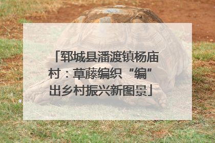 郓城县潘渡镇杨庙村：草藤编织“编”出乡村振兴新图景