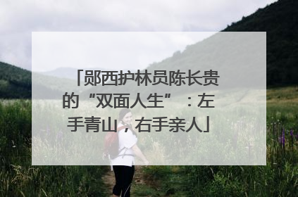 郧西护林员陈长贵的“双面人生”：左手青山，右手亲人