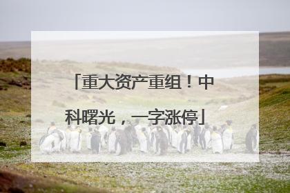 重大资产重组！中科曙光，一字涨停