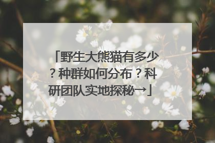 野生大熊猫有多少？种群如何分布？科研团队实地探秘→
